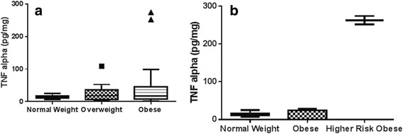 Urinary biomarkers as indicator of chronic inflammation and endothelial dysfunction in obese adolescents.