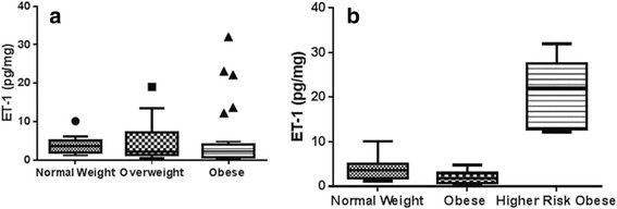 Urinary biomarkers as indicator of chronic inflammation and endothelial dysfunction in obese adolescents.