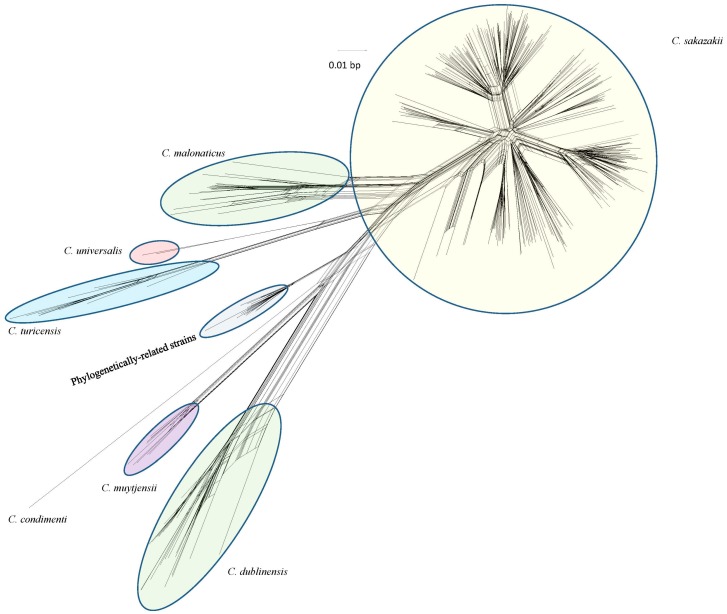 Use of a Pan-Genomic DNA Microarray in Determination of the Phylogenetic Relatedness among Cronobacter spp. and Its Use as a Data Mining Tool to Understand Cronobacter Biology.