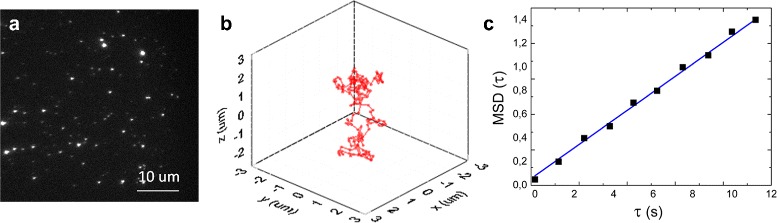 Accuracy of the detection of binding events using 3D single particle tracking.