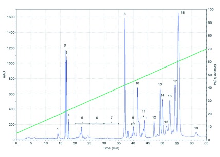 <i>In vitro</i> hemotoxic, α-neurotoxic and vasculotoxic effects of the Mexican black-tailed rattlesnake (<i>Crotalus molossus nigrescens</i>) venom.