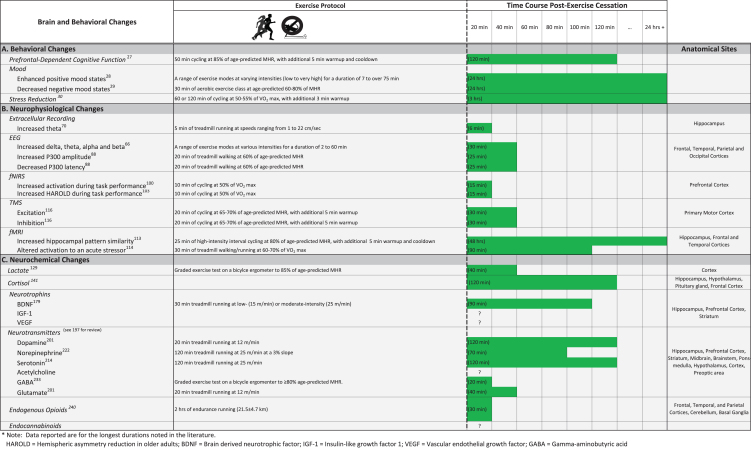 The Effects of Acute Exercise on Mood, Cognition, Neurophysiology, and Neurochemical Pathways: A Review.