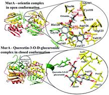 Inhibition of the MurA enzyme in Fusobacterium nucleatum by potential inhibitors identified through computational and in vitro approaches†