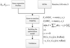 Prediction of metabolic fluxes from gene expression data with Huber penalty convex optimization function†