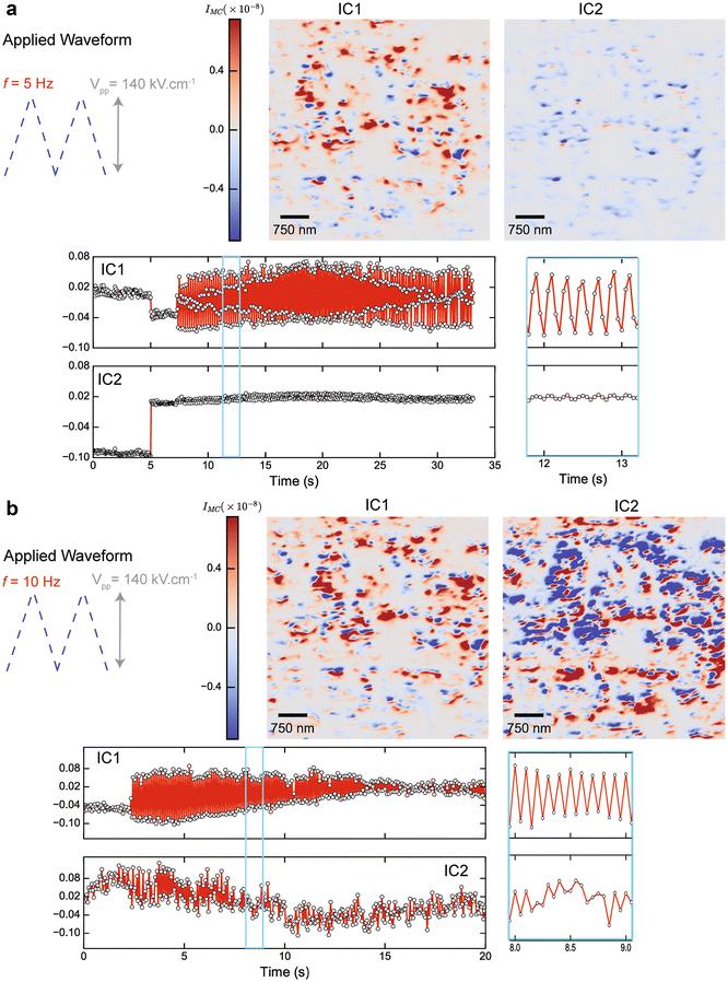 Dynamic X-ray diffraction imaging of the ferroelectric response in bismuth ferrite