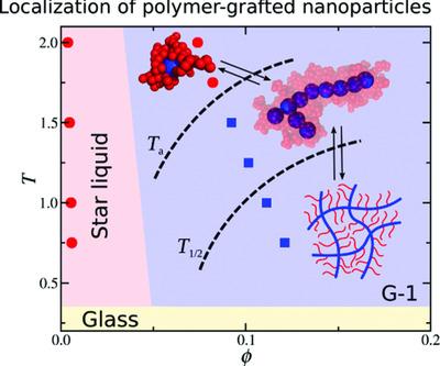 Particle localization and hyperuniformity of polymer-grafted nanoparticle materials