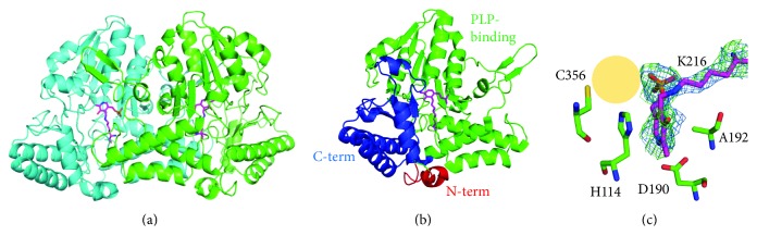 Catalytic Intermediate Crystal Structures of Cysteine Desulfurase from the Archaeon <i>Thermococcus onnurineus</i> NA1.