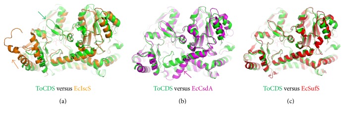 Catalytic Intermediate Crystal Structures of Cysteine Desulfurase from the Archaeon <i>Thermococcus onnurineus</i> NA1.