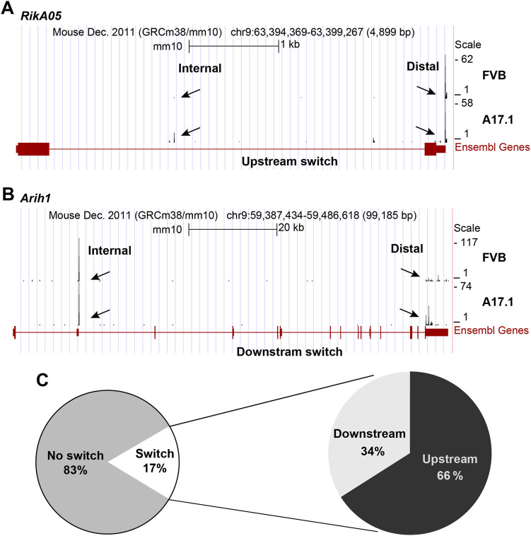 An alanine expanded PABPN1 causes increased utilization of intronic polyadenylation sites.