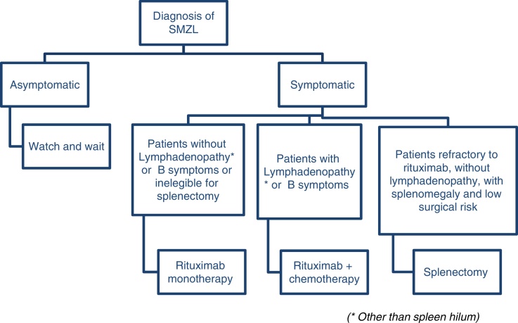 Splenic marginal zone lymphoma: a literature review of diagnostic and therapeutic challenges