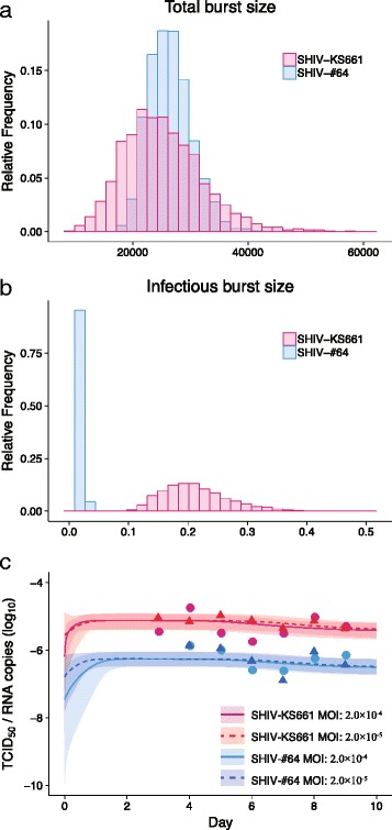 A highly pathogenic simian/human immunodeficiency virus effectively produces infectious virions compared with a less pathogenic virus in cell culture.