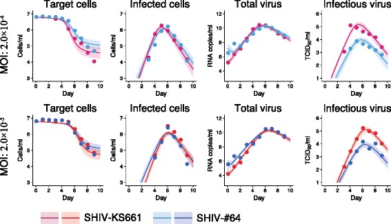 A highly pathogenic simian/human immunodeficiency virus effectively produces infectious virions compared with a less pathogenic virus in cell culture.