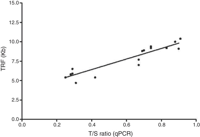 Telomere length correlates with disease severity and inflammation in sickle cell disease