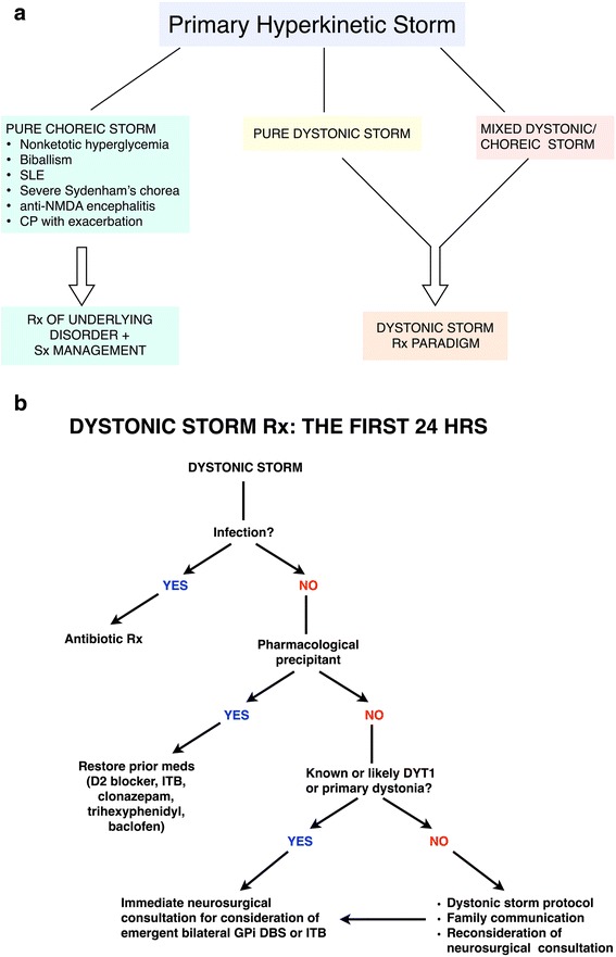 Dystonic storm: a practical clinical and video review.