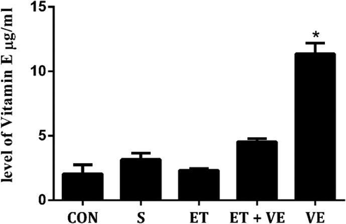 The effect of endurance training with and without vitamin E on expression of p53 and PTEN tumor suppressing genes in prostate glands of male rats