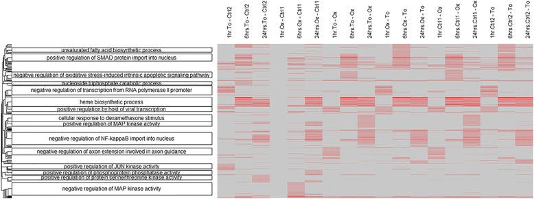 goSTAG: gene ontology subtrees to tag and annotate genes within a set.