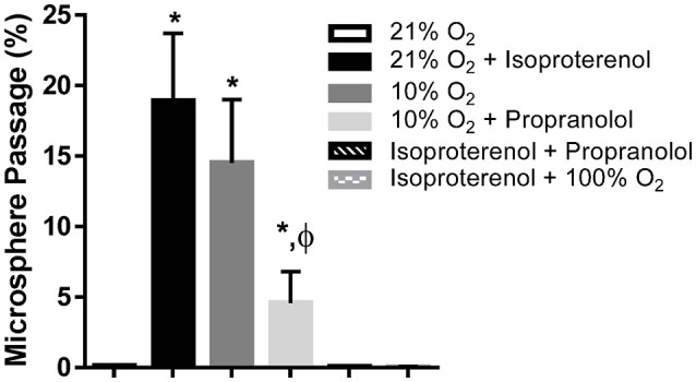 Beta Adrenergic Regulation of Intrapulmonary Arteriovenous Anastomoses in Intact Rat and Isolated Rat Lungs.