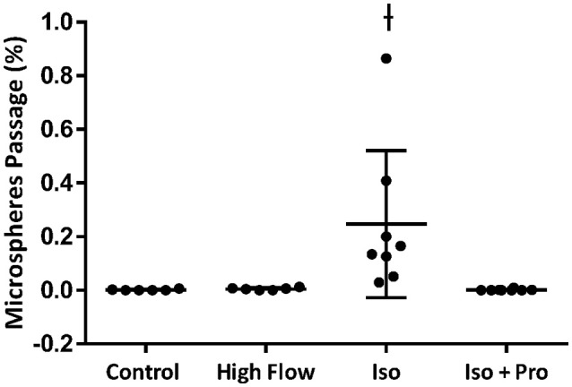 Beta Adrenergic Regulation of Intrapulmonary Arteriovenous Anastomoses in Intact Rat and Isolated Rat Lungs.