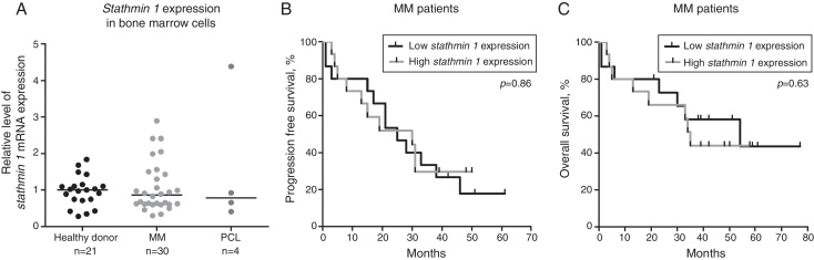 Stathmin 1 expression in plasma cell neoplasms