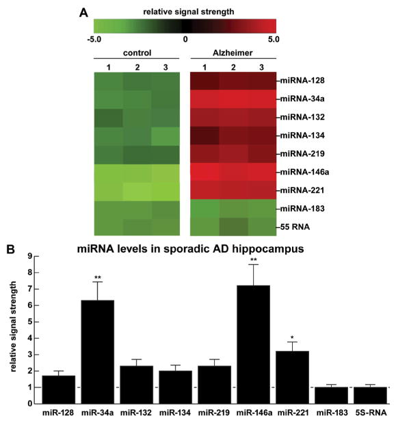 Alterations in micro RNA-messenger RNA (miRNA-mRNA) Coupled Signaling Networks in Sporadic Alzheimer's Disease (AD) Hippocampal CA1.