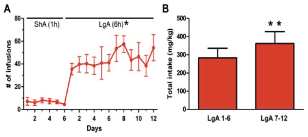 The Effects of Extended-Access Cocaine Self-Administration on Working Memory Performance, Reversal Learning and Incubation of Cocaine-Seeking in Adult Male Rats.