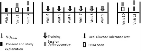 An evaluation of low volume high-intensity intermittent training (HIIT) for health risk reduction in overweight and obese men.