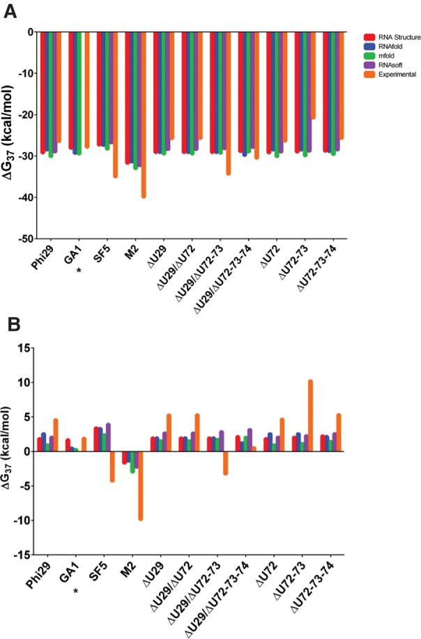 Thermodynamic stabilities of three-way junction nanomotifs in prohead RNA.