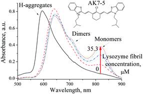 Aggregation behavior of novel heptamethine cyanine dyes upon their binding to native and fibrillar lysozyme†