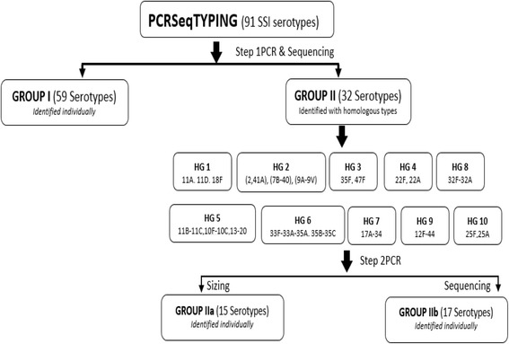 Development of PCRSeqTyping-a novel molecular assay for typing of <i>Streptococcus pneumoniae</i>.