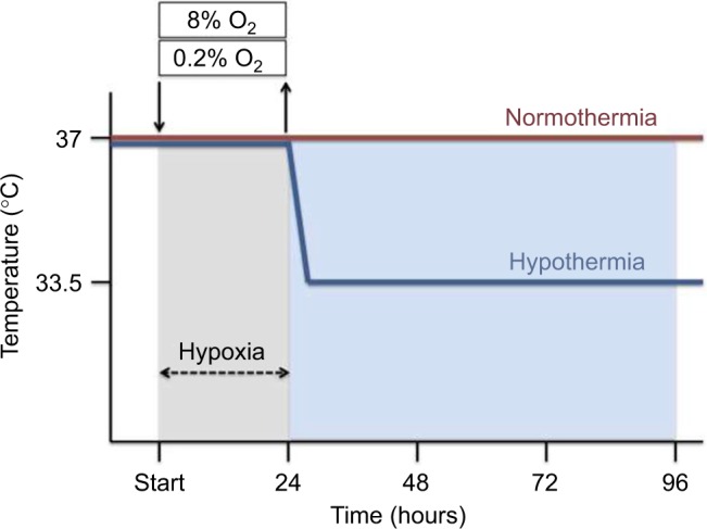 Neuroprotection via RNA-binding protein RBM3 expression is regulated by hypothermia but not by hypoxia in human SK-N-SH neurons.