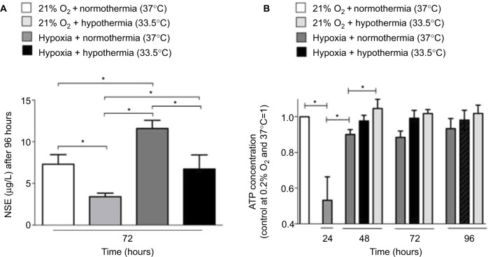 Neuroprotection via RNA-binding protein RBM3 expression is regulated by hypothermia but not by hypoxia in human SK-N-SH neurons.