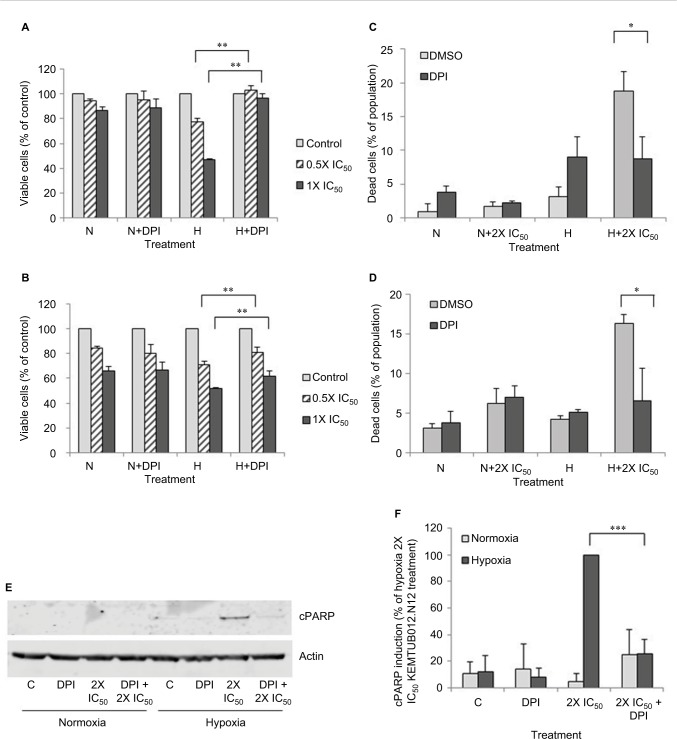 KEMTUB012-NI2, a novel potent tubulysin analog that selectively targets hypoxic cancer cells and is potentiated by cytochrome p450 reductase downregulation.