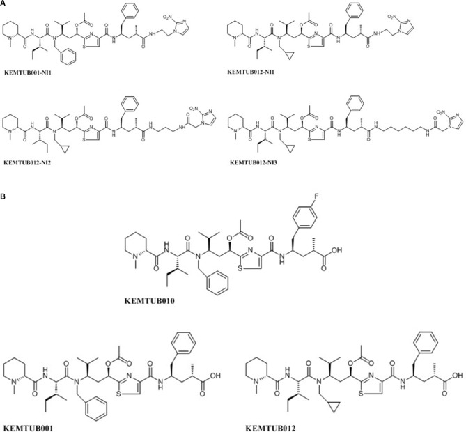 KEMTUB012-NI2, a novel potent tubulysin analog that selectively targets hypoxic cancer cells and is potentiated by cytochrome p450 reductase downregulation.