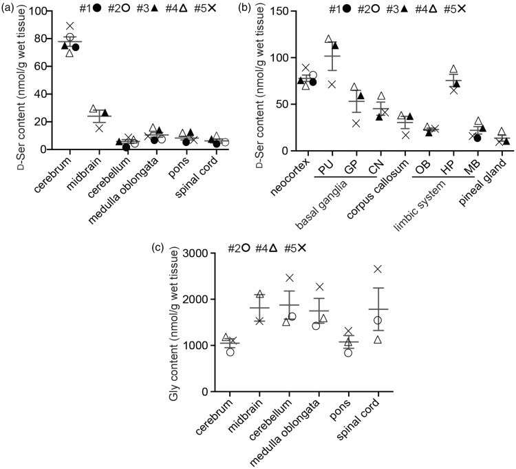 Heterogeneity of D-Serine Distribution in the Human Central Nervous System.