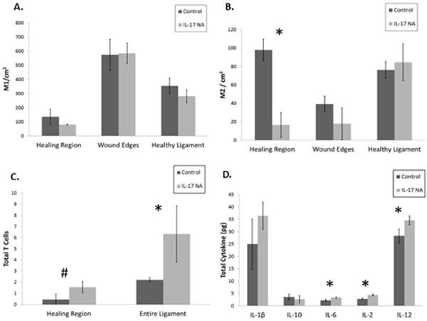 Impacts of Interleukin-17 Neutralization on the Inflammatory Response in a Healing Ligament.