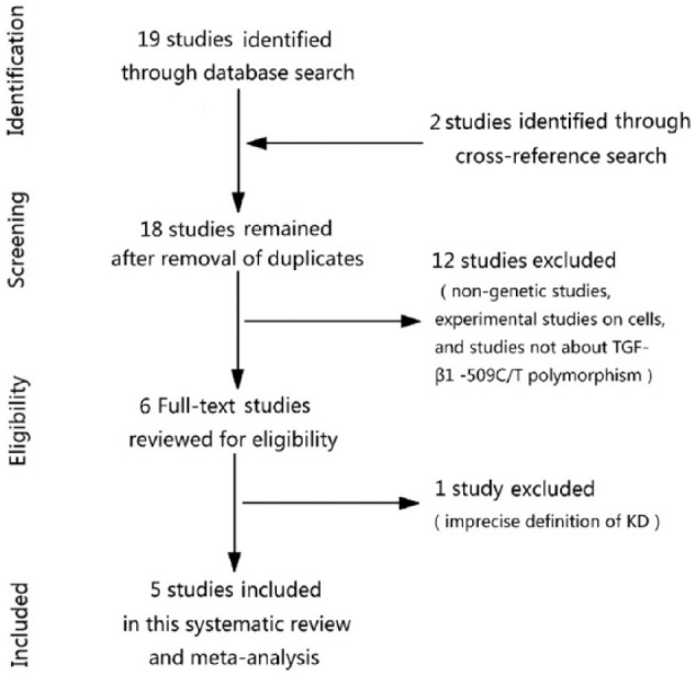 TGF-β1 -509C/T polymorphism and susceptibility to keloid disease: a systematic review and meta-analysis.