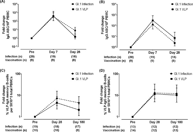 B-Cell Responses to Intramuscular Administration of a Bivalent Virus-Like Particle Human Norovirus Vaccine.