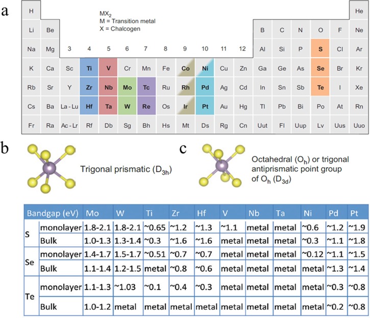 Review Article: Progress in fabrication of transition metal dichalcogenides heterostructure systems.