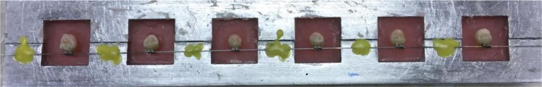Abstract Image