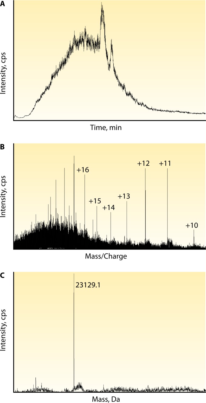 Mass Spectrometry Approaches for Identification and Quantitation of Therapeutic Monoclonal Antibodies in the Clinical Laboratory.