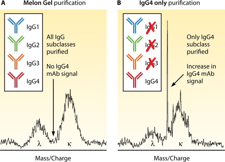 Mass Spectrometry Approaches for Identification and Quantitation of Therapeutic Monoclonal Antibodies in the Clinical Laboratory.