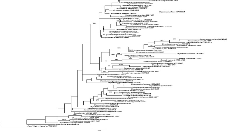 High quality permanent draft genome sequence of <i>Chryseobacterium bovis</i> DSM 19482<sup>T</sup>, isolated from raw cow milk.