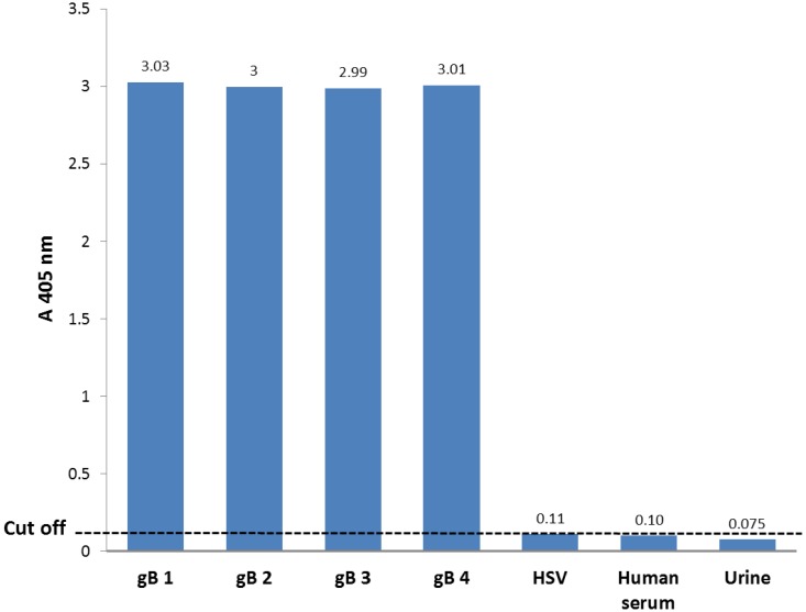 Evaluation of a Probe-Based PCR-ELISA System for Simultaneous Semi Quantitative Detection and Genotyping of Human Cytomegalovirus (HCMV) Infection in Clinical Specimens.