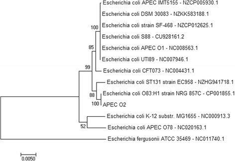 Chromosomal features of <i>Escherichia coli</i> serotype O2:K2, an avian pathogenic <i>E. coli</i>.