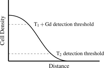 Image-driven modeling of the proliferation and necrosis of glioblastoma multiforme.