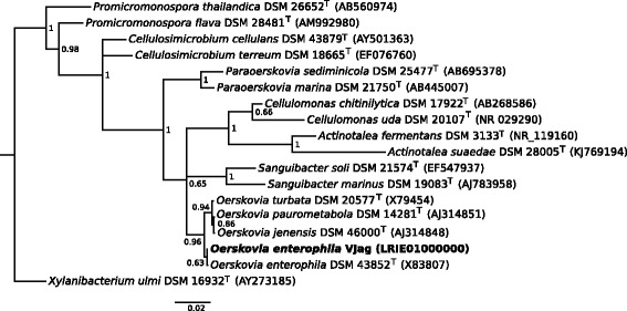 Genome sequencing and description of <i>Oerskovia enterophila</i> VJag, an agar- and cellulose-degrading bacterium.