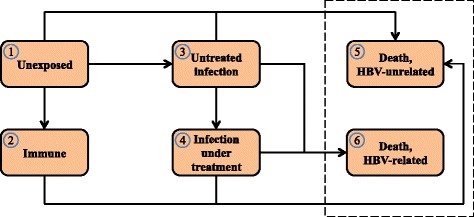 Markov modeling in hepatitis B screening and linkage to care.