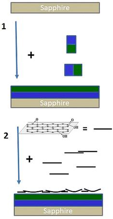 Interfactant action of an amphiphilic polymer upon directing graphene oxide layer formation on sapphire substrates