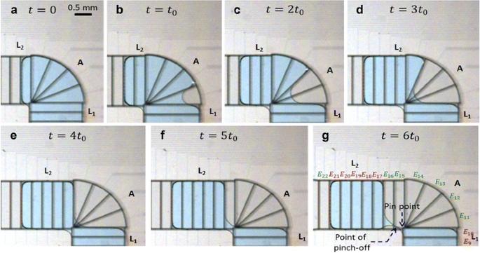 Accurate, consistent, and fast droplet splitting and dispensing in electrowetting on dielectric digital microfluidics