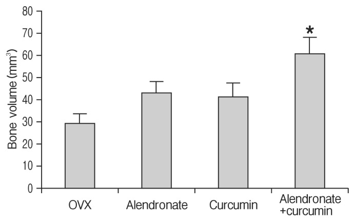 The Therapeutic Effects of Combination Therapy with Curcumin and Alendronate on Spine Fusion Surgery in the Ovariectomized Rats.